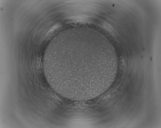 X0000065260918200603131158