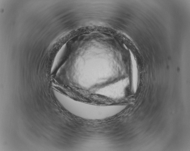 X0000065260919200603131158