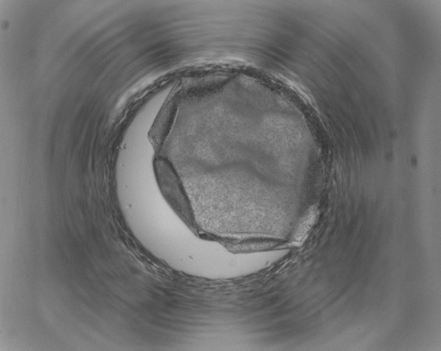 X0000065260920200603131158