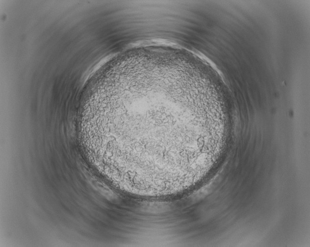 X0000065260921200603131158