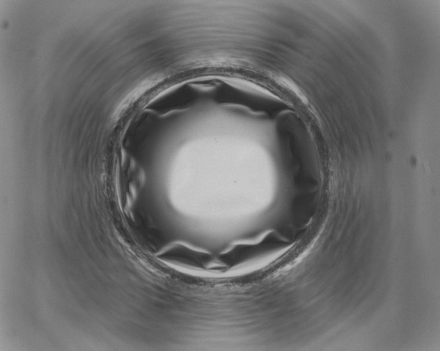 X0000065260922200603131158