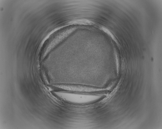 X0000065260923200603131159