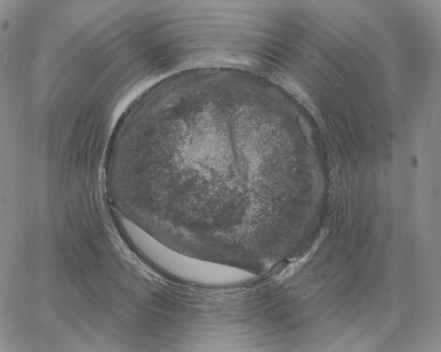 X0000065260928200603131159