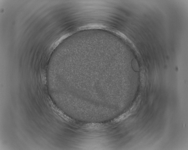 X0000065260929200603131159