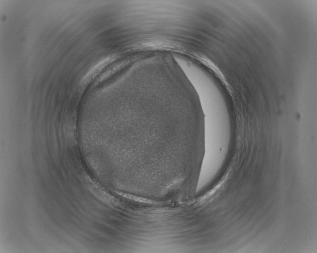 X0000065260930200603131159