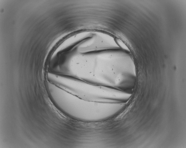 X0000065260932200603131159