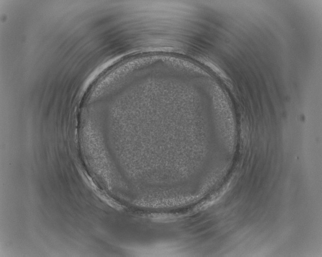 X0000065260933200603131159