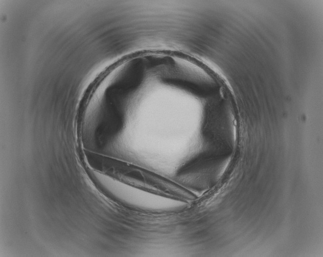 X0000065260935200603131159