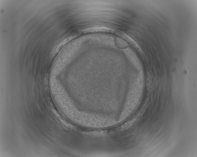 X0000065260937200603131159