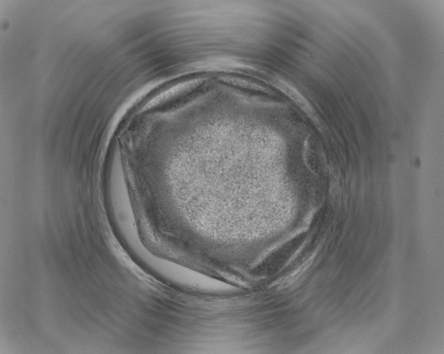 X0000065260939200603131159