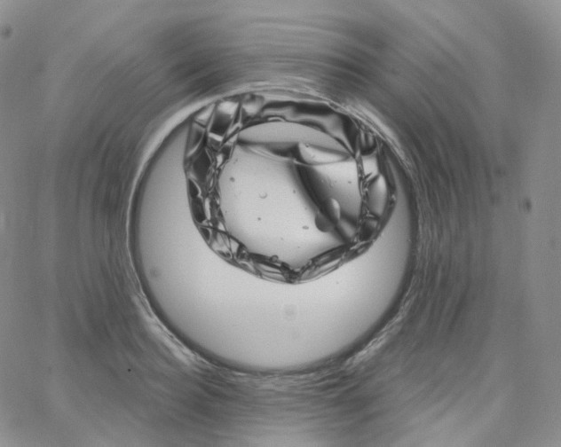 X0000065260940200603131159