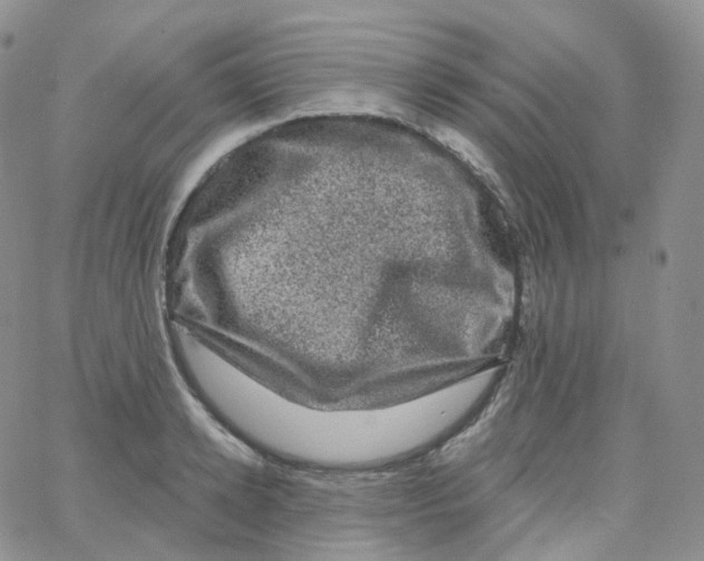 X0000065260942200603131159