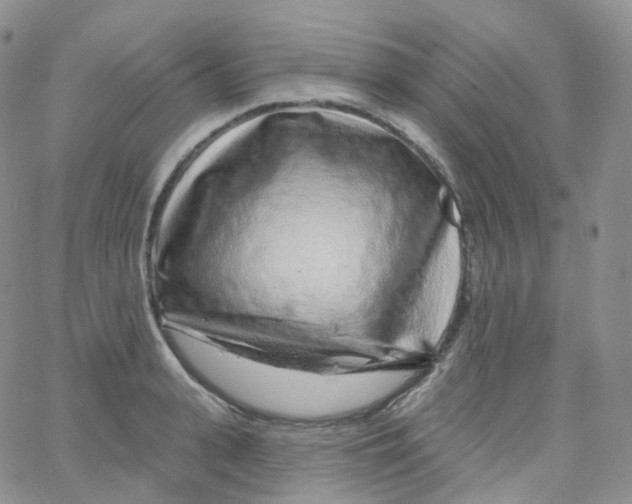 X0000065260943200603131159