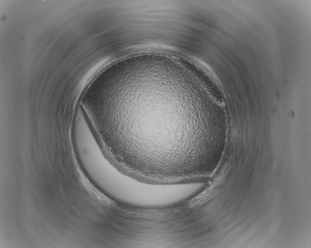 X0000065260946200603131159