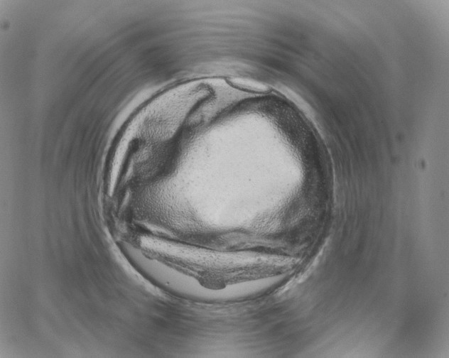 X0000065260949200603131159