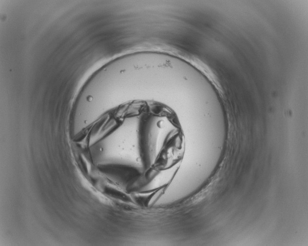 X0000065260950200603131159