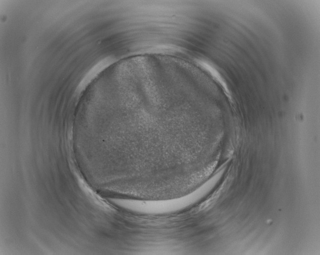 X0000065260952200603131159