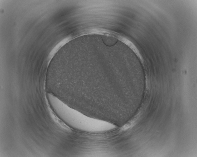 X0000065260954200603131159