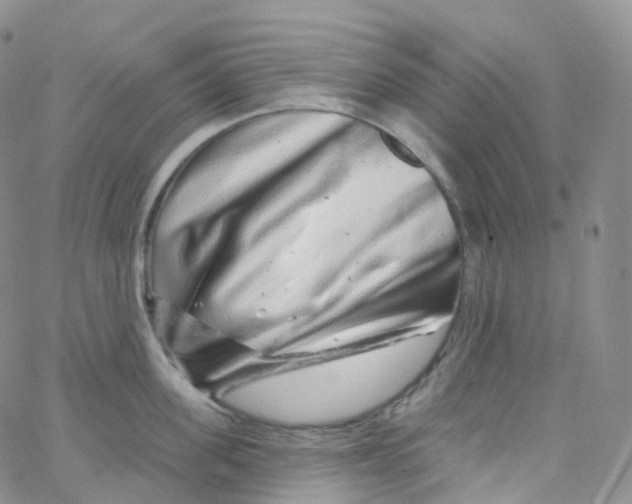 X0000065260955200603131159