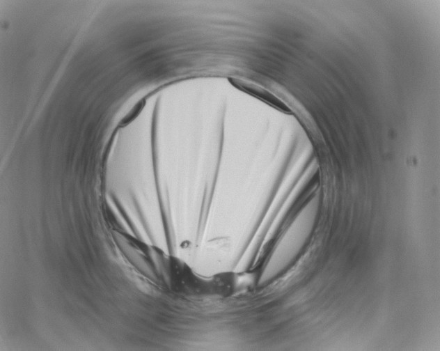 X0000065260956200603131159