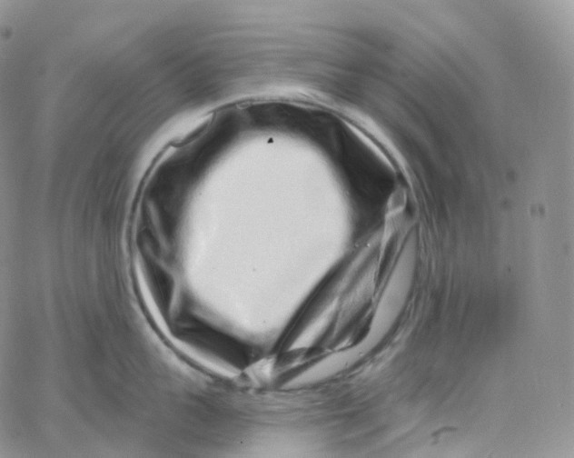 X0000065260959200603131159