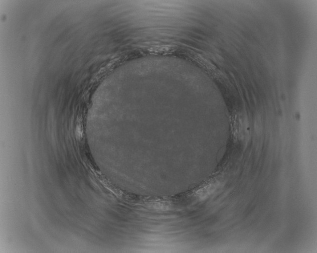 X0000065260962200603131158