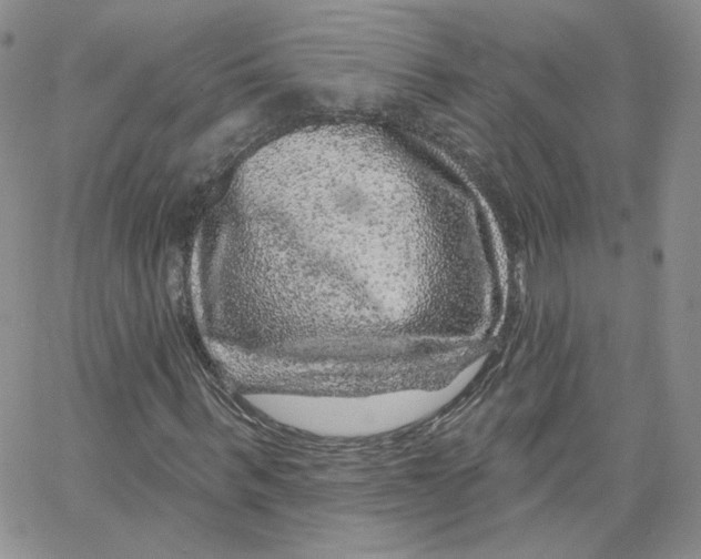 X0000065260963200603131158