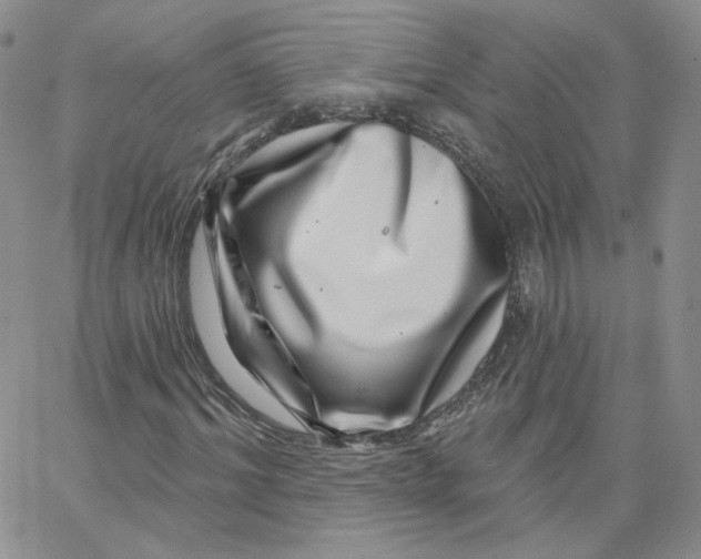 X0000065260964200603131158