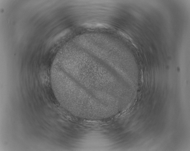 X0000065260966200603131158