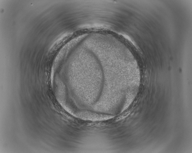 X0000065260967200603131158