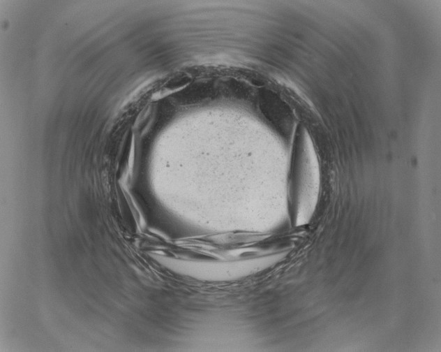 X0000065260968200603131158