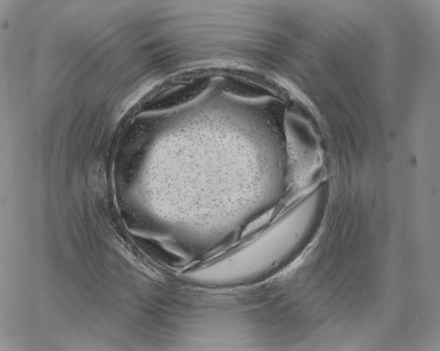 X0000065260969200603131158