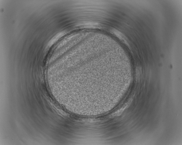 X0000065260970200603131158