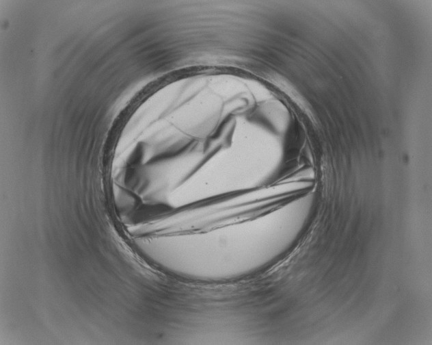 X0000065260972200603131158