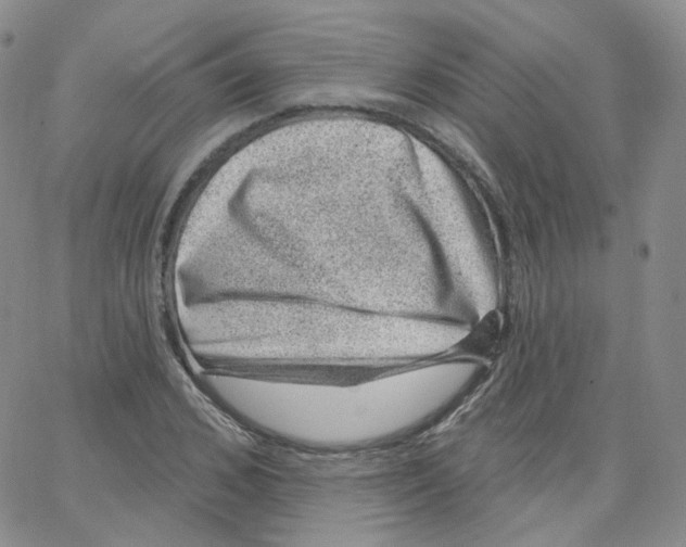 X0000065260976200603131158