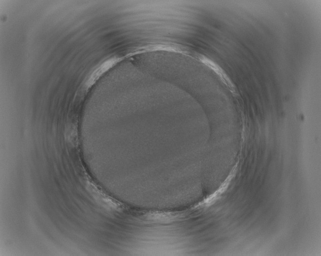 X0000065260977200603131158