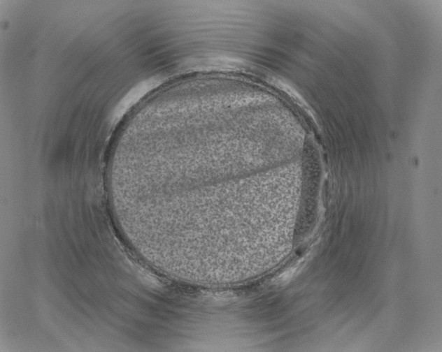 X0000065260978200603131158