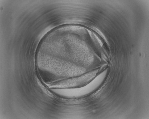 X0000065260980200603131158