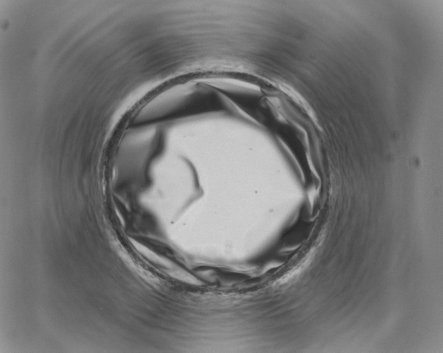 X0000065260981200603131158