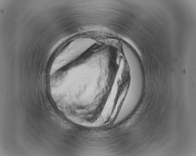 X0000065260983200603131158