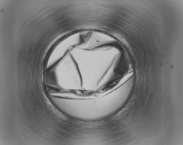 X0000065260984200603131158