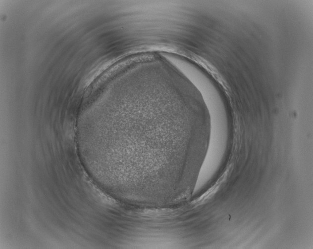 X0000065260985200603131158