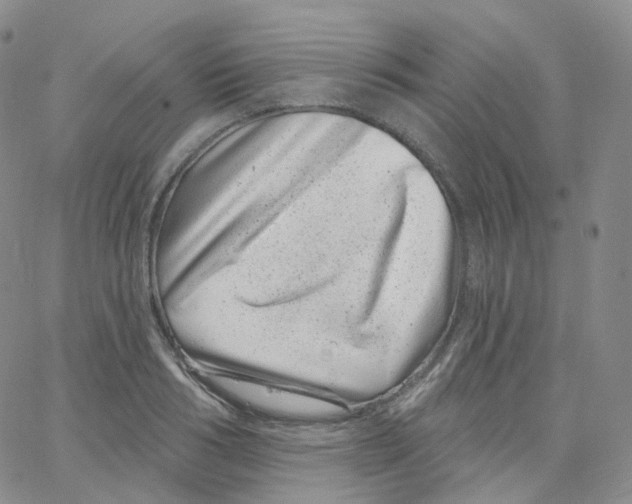 X0000065260986200603131158