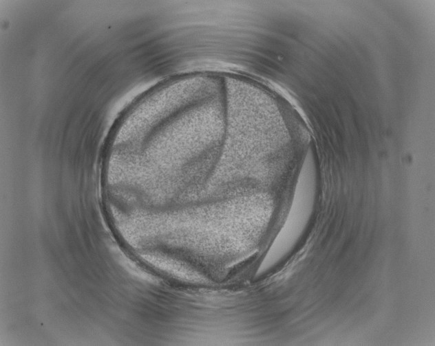 X0000065260987200603131158