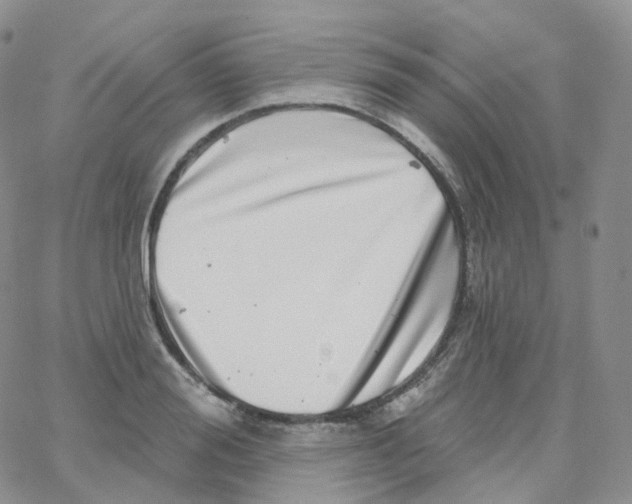 X0000065260988200603131158