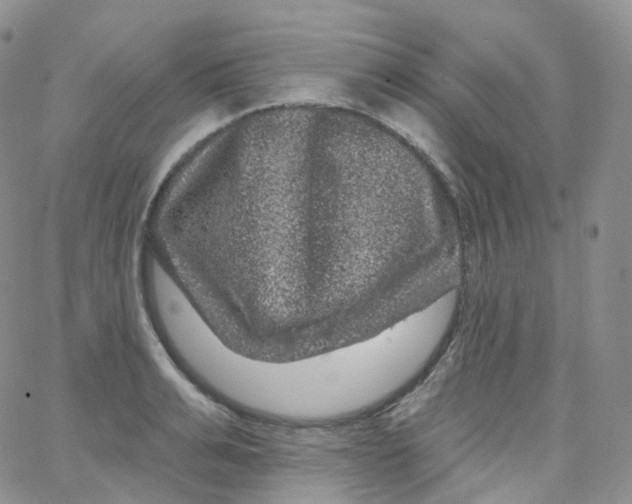 X0000065260991200603131158