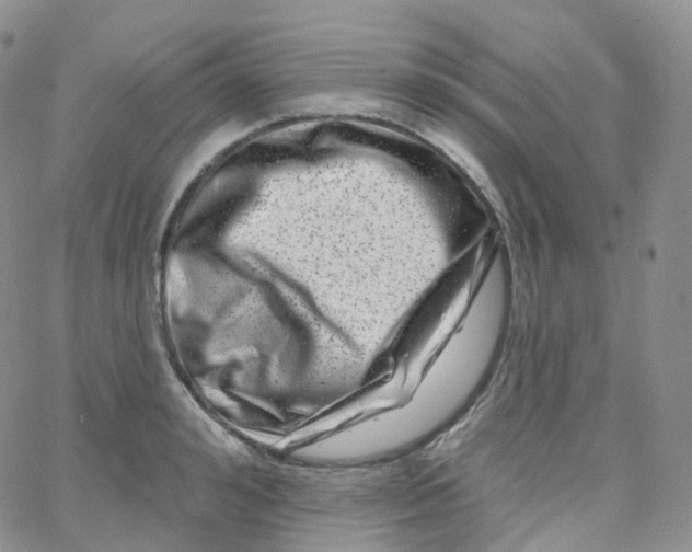 X0000065260992200603131158