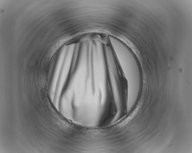 X0000065260993200603131158