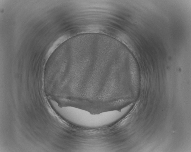 X0000065260994200603131158