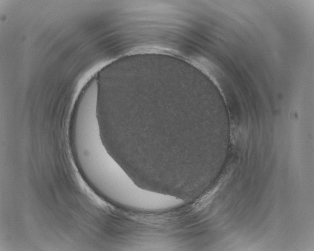 X0000065260995200603131158